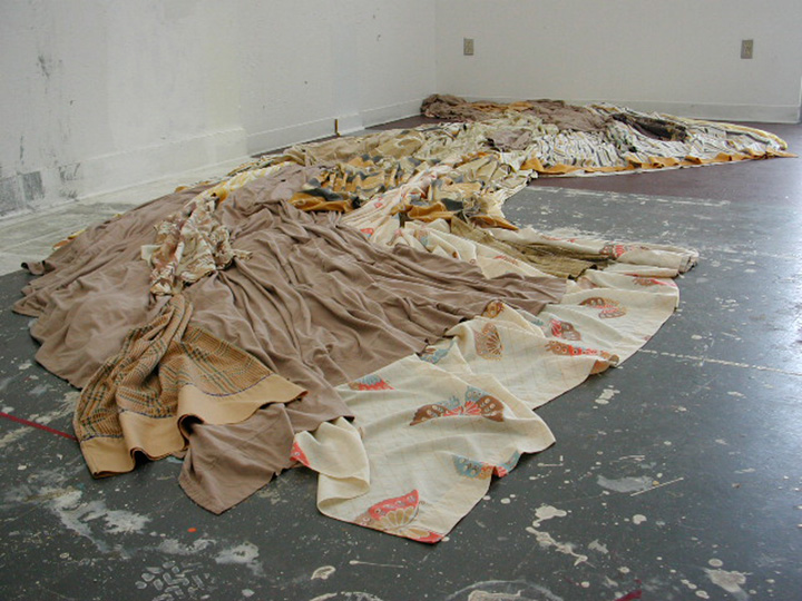 Mariah Anne Johnson, Installations, 2004-2005