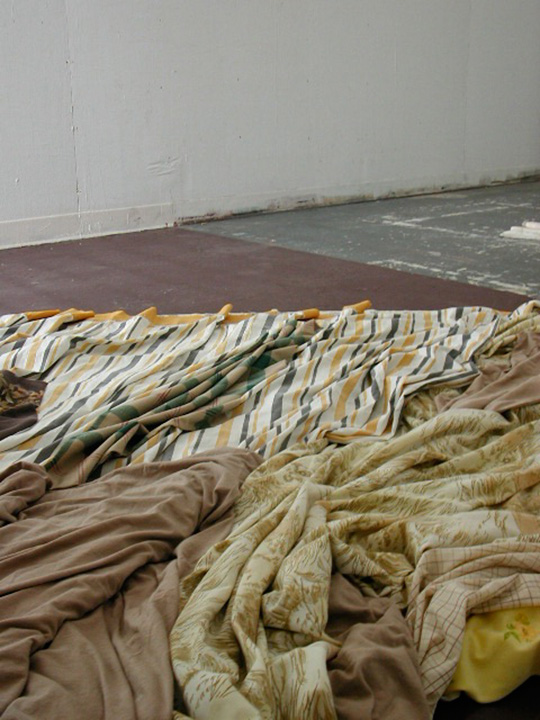 Mariah Anne Johnson, Installations, 2004-2005