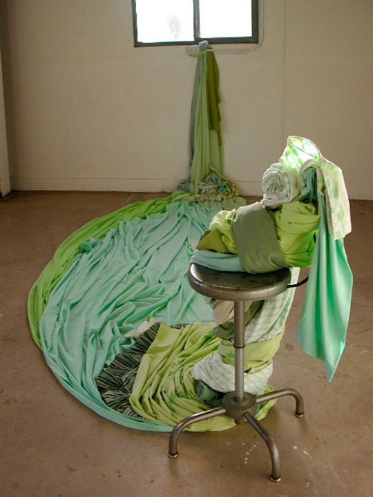 Mariah Anne Johnson, Installations, 2004-2005