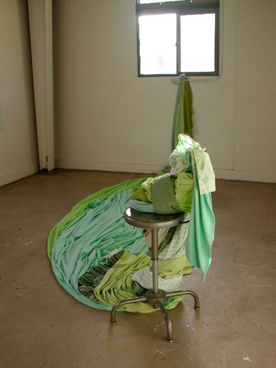 Mariah Anne Johnson, Installations, 2004-2005