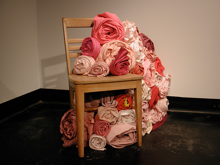 Mariah Anne Johnson, Installations, 2006