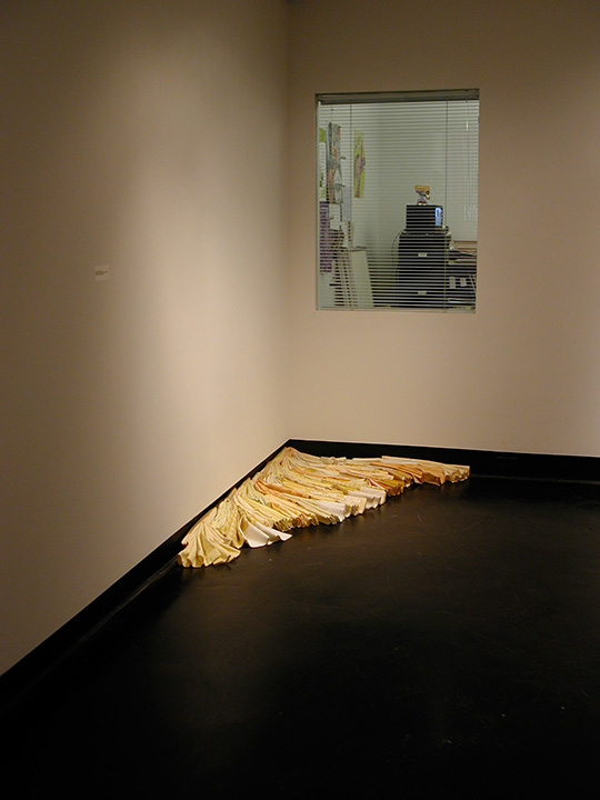 Mariah Anne Johnson, Installations, 2006