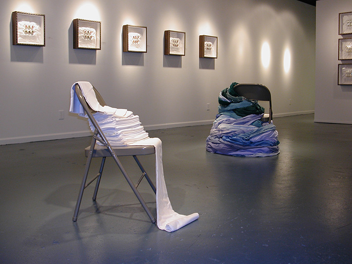 Mariah Anne Johnson, Installations, 2006