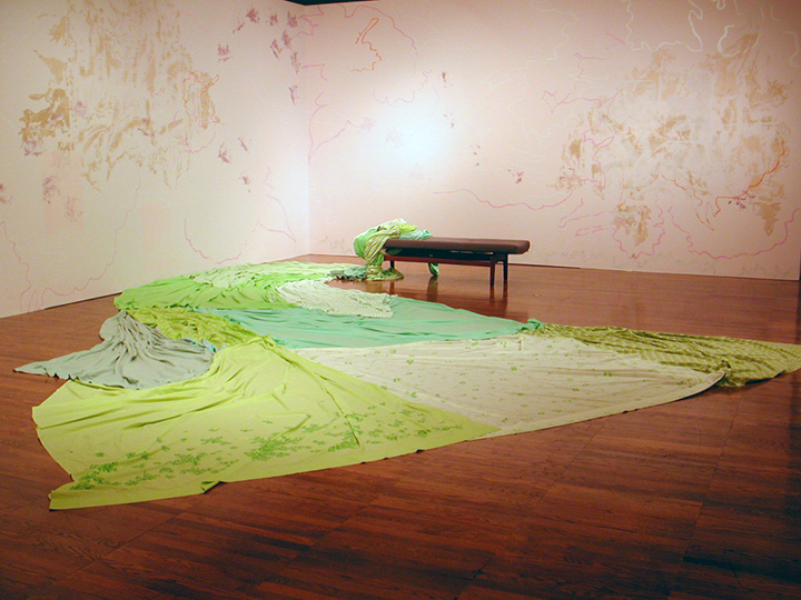 Mariah Anne Johnson, Installations, 2006