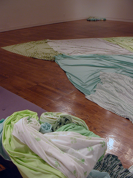 Mariah Anne Johnson, Installations, 2006