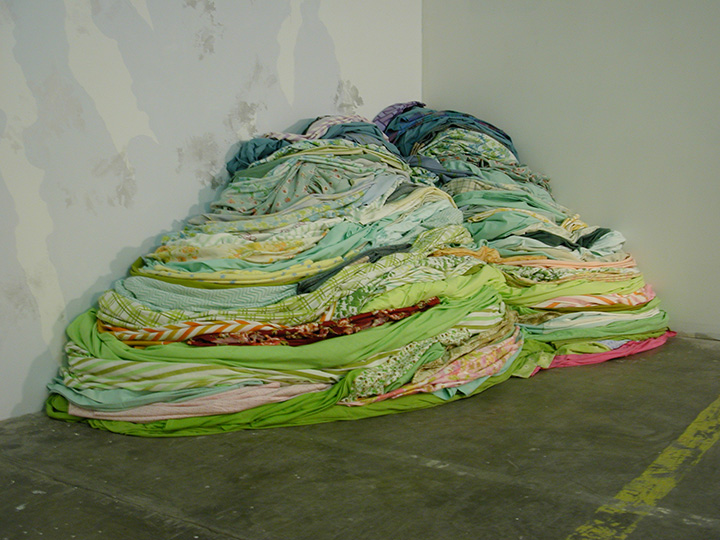 Mariah Anne Johnson, Installations, 2007