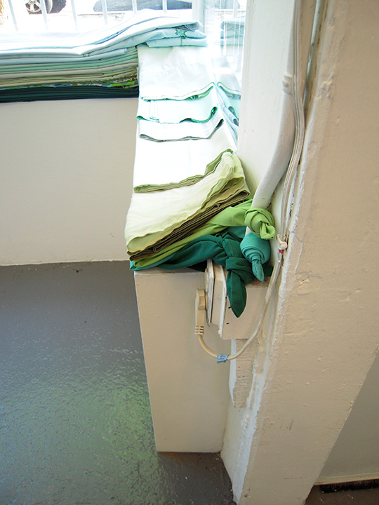 Mariah Anne Johnson, Installations, 2008
