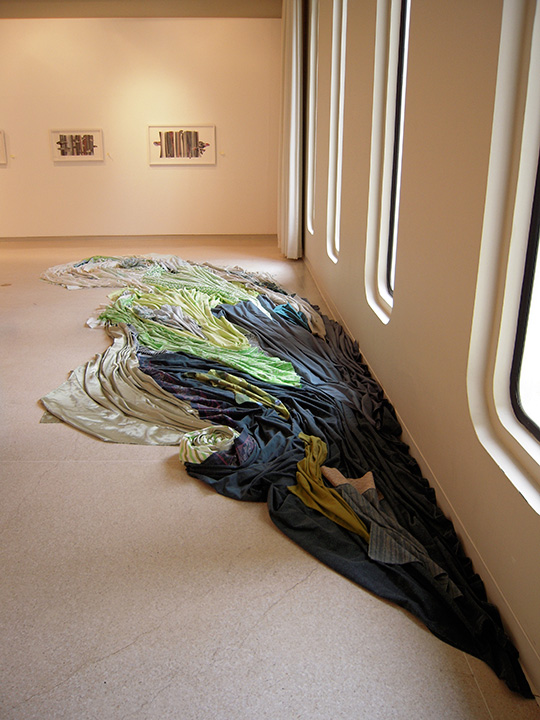 Mariah Anne Johnson, Installations, 2008