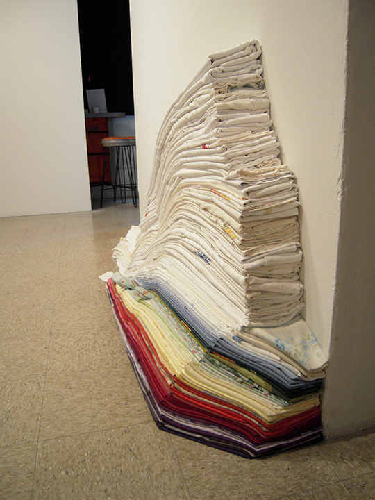 Mariah Anne Johnson, Installations, 2008