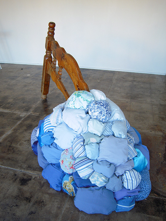 Mariah Anne Johnson, Installations, 2008