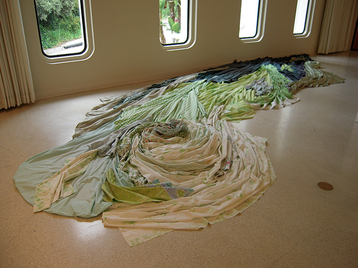 Mariah Anne Johnson, Installations, 2008