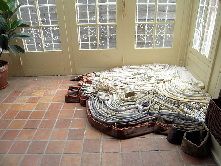 Mariah Anne Johnson, Installations, 2009