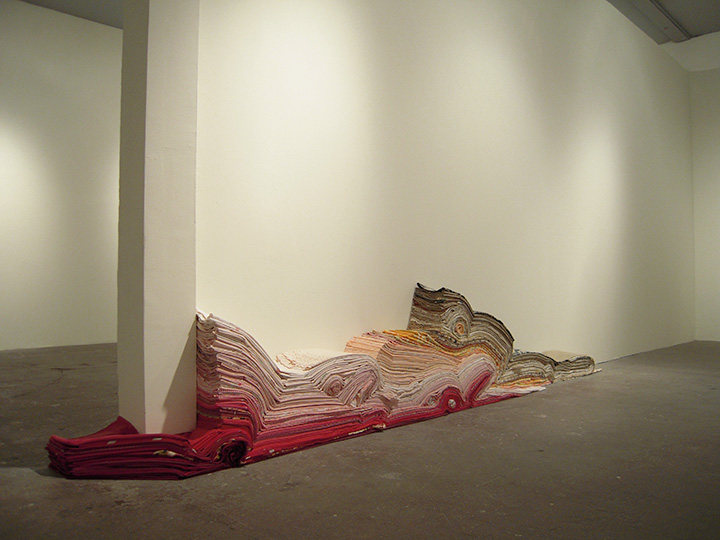 Mariah Anne Johnson, Installations, 2009