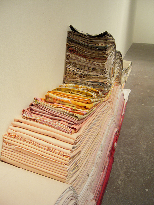 Mariah Anne Johnson, Installations, 2009