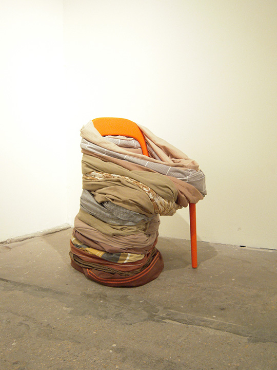 Mariah Anne Johnson, Installations, 2009