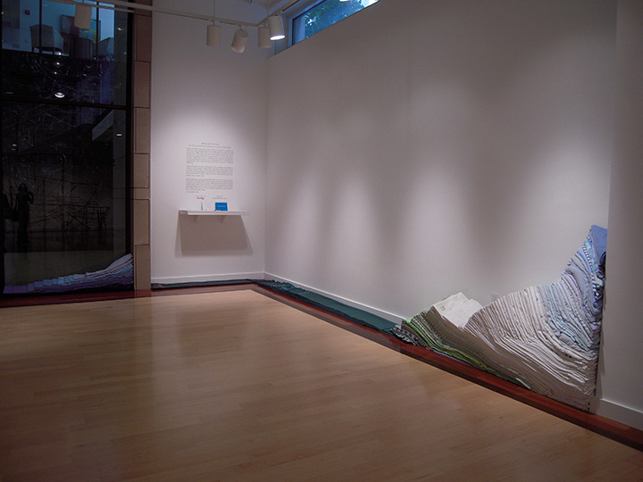 Mariah Anne Johnson, installations 2012