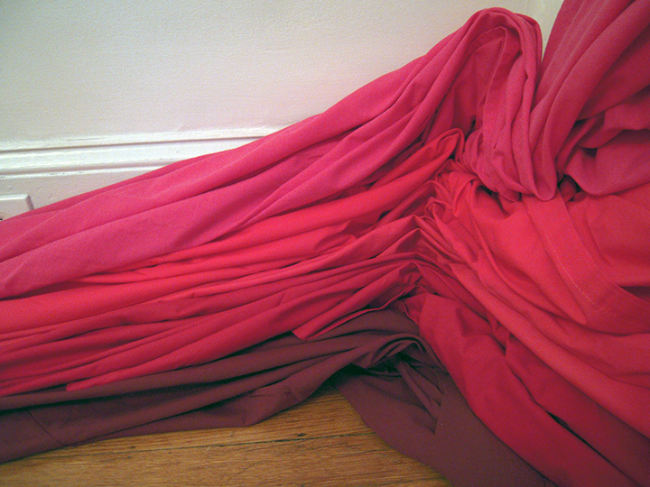 Mariah Anne Johnson, installations 2013