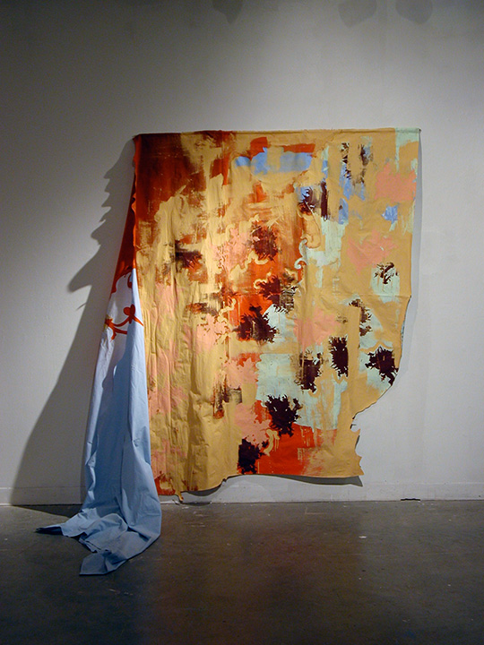 Mariah Anne Johnson, painting & drawing 2004-2006