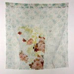 Mariah Anne Johnson, painting & drawing 2007-2009