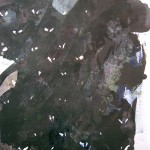 Mariah Anne Johnson, painting & drawing 2012
